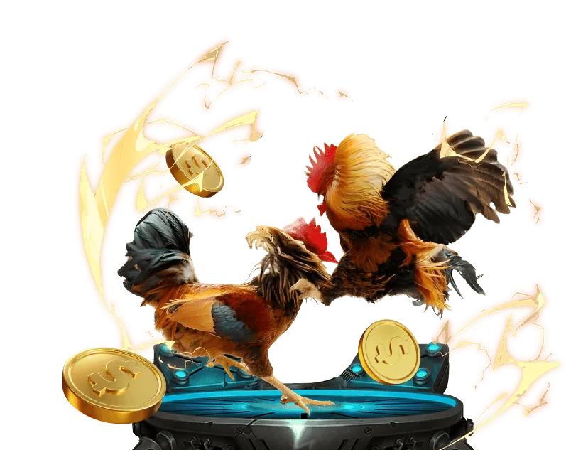 Cá cược bóng rổ tại 88vin win